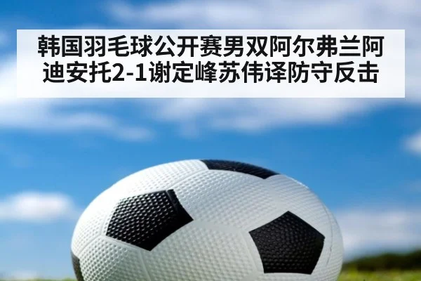 韩国羽毛球公开赛男双阿尔弗兰阿迪安托2-1谢定峰苏伟译防守反击